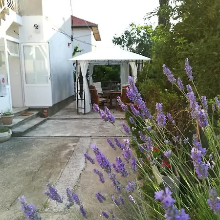 Apartament Lili In Pet Friendly, Free Parking